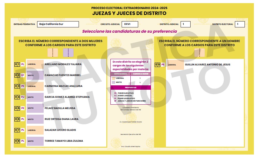 Elecciones del Poder Judicial: aprende a votar paso a paso