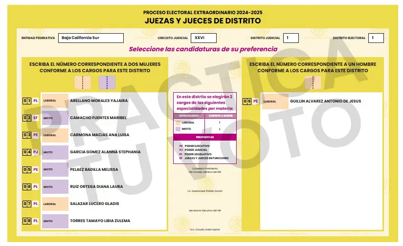 Elecciones del Poder Judicial: aprende a votar paso a paso