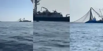 Un video difundido en redes mostró un barco de encierre operando cerca de la costa en San José del Cabo. Aunque las embarcaciones tienen permiso, FONMAR advierte que afectan a la pesca local y urge regionalizar los permisos.