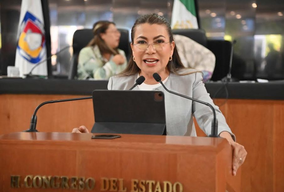 La diputada Cristina Contreras Rebollo