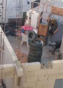 Uno de los casos más recientes ocurrió en la colonia Los Cangrejos, donde ciudadanos denunciaron en redes sociales la agresión a un perro dentro de un predio invadido. Esto llevó a internautas a solicitar ayuda urgente para rescatar al animal.