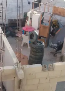 Uno de los casos más recientes ocurrió en la colonia Los Cangrejos, donde ciudadanos denunciaron en redes sociales la agresión a un perro dentro de un predio invadido. Esto llevó a internautas a solicitar ayuda urgente para rescatar al animal.