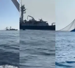 Pesca industrial en Los Cabos pone en peligro a la pesca deportiva