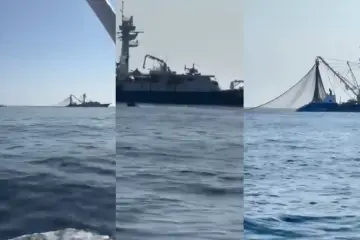Pesca industrial en Los Cabos pone en peligro a la pesca deportiva