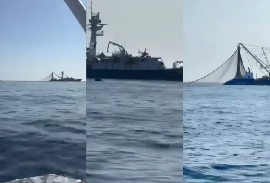 Pesca industrial en Los Cabos pone en peligro a la pesca deportiva