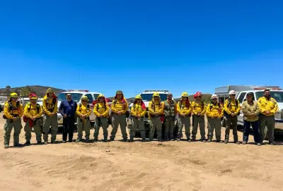 Bomberos de San José del Cabo refuerzan labores contra incendio forestal en La Rumorosa