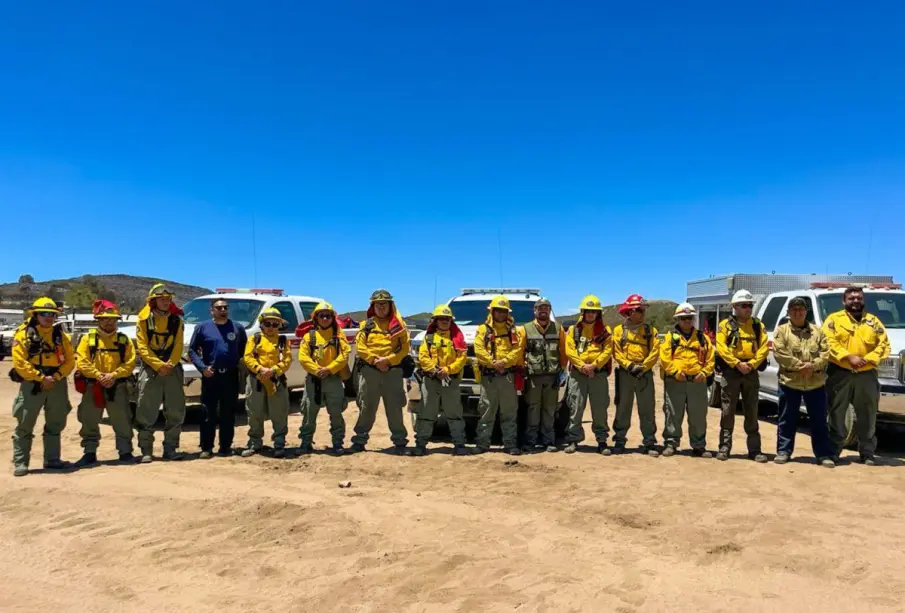 Bomberos de San José del Cabo refuerzan labores contra incendio forestal en La Rumorosa