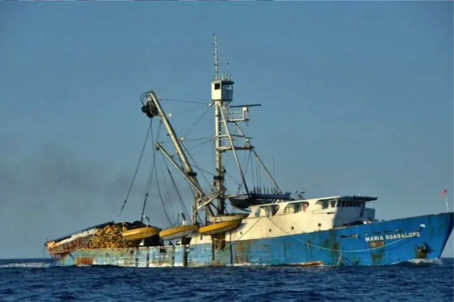 Conapesca señala que barcos atuneros cuentan con permisos de pesca vigentes