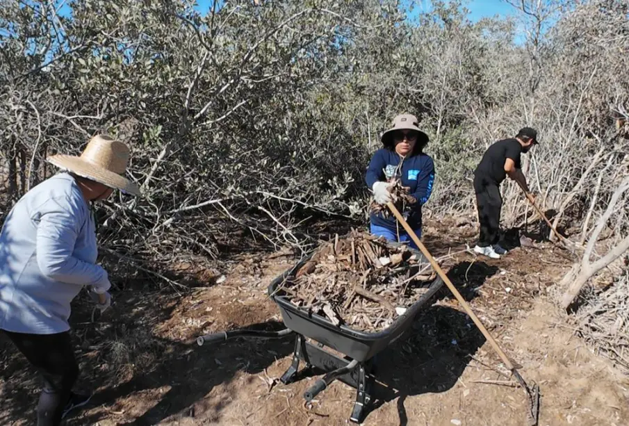 La mañana de este viernes 6 de junio, a partir de las 7:00 horas, se llevó a cabo una mega limpieza en los manglares de El Conchalito