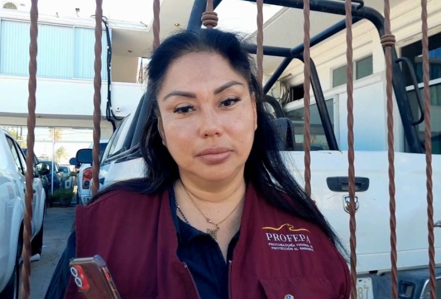 Subdelegada de PROFEPA BCS denuncia acoso laboral; le niegan ingreso a oficinas