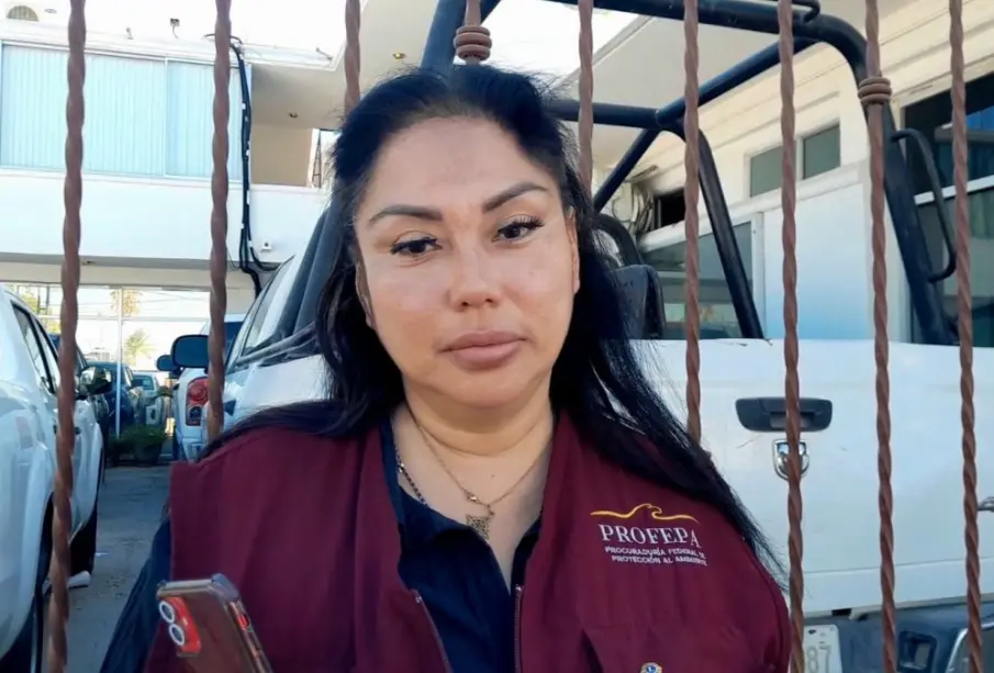 Subdelegada de PROFEPA BCS denuncia acoso laboral; le niegan ingreso a oficinas
