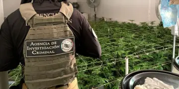 La Fiscalía General de la República (FGR) informó que, durante junio, realizó 94 cateos y 56 aseguramientos en la región Noroeste del país, como parte de los operativos contra delitos federales.