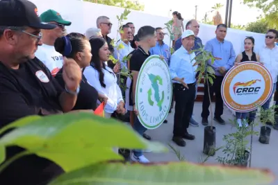 Reforestación en el parque Pueblo Nuevo de La Paz reúne a la CROC y al Gobierno estatal para recuperar espacios verdes y concientizar a la población.