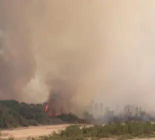 Autoridades locales y CONAFOR intensifican acciones preventivas ante condiciones climáticas críticas en Estero de San José del Cabo.