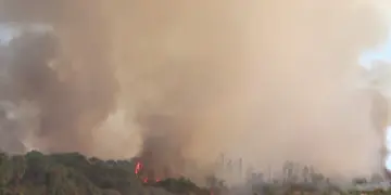 Autoridades locales y CONAFOR intensifican acciones preventivas ante condiciones climáticas críticas en Estero de San José del Cabo.