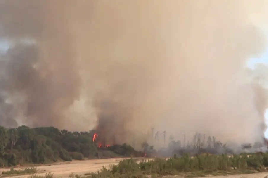 Autoridades locales y CONAFOR intensifican acciones preventivas ante condiciones climáticas críticas en Estero de San José del Cabo.