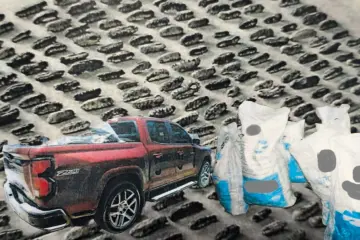 La Fiscalía General de la República (FGR) a través de la Fiscalía Especializada de Control Regional (FECOR) en Baja California Sur, obtuvo de un juez federal, auto de vinculación a proceso, en contra de una persona por un delito contra la biodiversidad, contemplado en el Código Penal Federal.