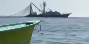 Barcos atuneros y camaroneros en Baja California Sur: Diputado propone regular su operación
