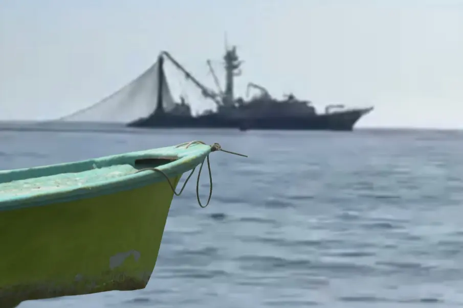 Barcos atuneros y camaroneros en Baja California Sur: Diputado propone regular su operación