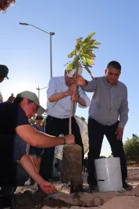Reforestación en el parque Pueblo Nuevo mejora espacios verdes y conciencia ambiental
