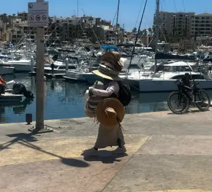 Inspección Fiscal busca combatir el comercio informal en Cabo San Lucas