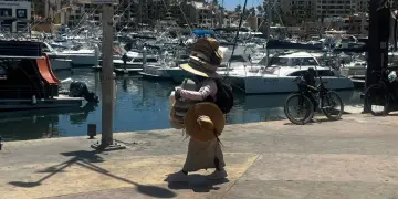 Inspección Fiscal busca combatir el comercio informal en Cabo San Lucas