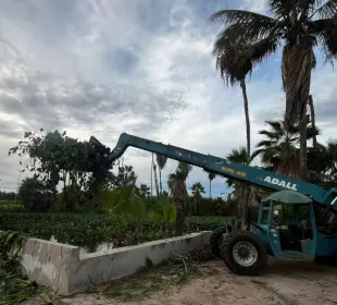 Entre lirio, la “Widoo choyera” lidera el rescate del Estero Josefino