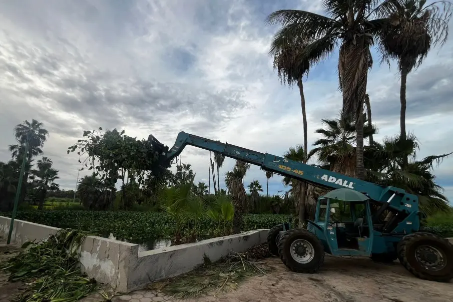 Entre lirio, la “Widoo choyera” lidera el rescate del Estero Josefino