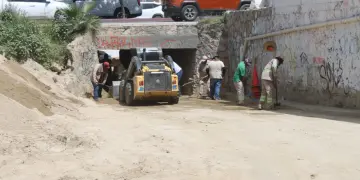 Se retiraron más de 100 m³ de arena