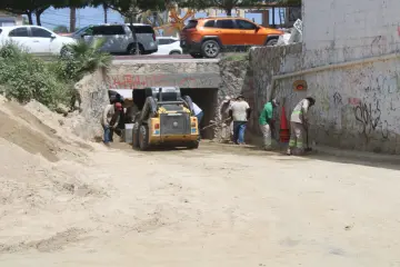 Se retiraron más de 100 m³ de arena