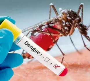Autoridades de salud refuerzan medidas contra el dengue en Baja California Sur