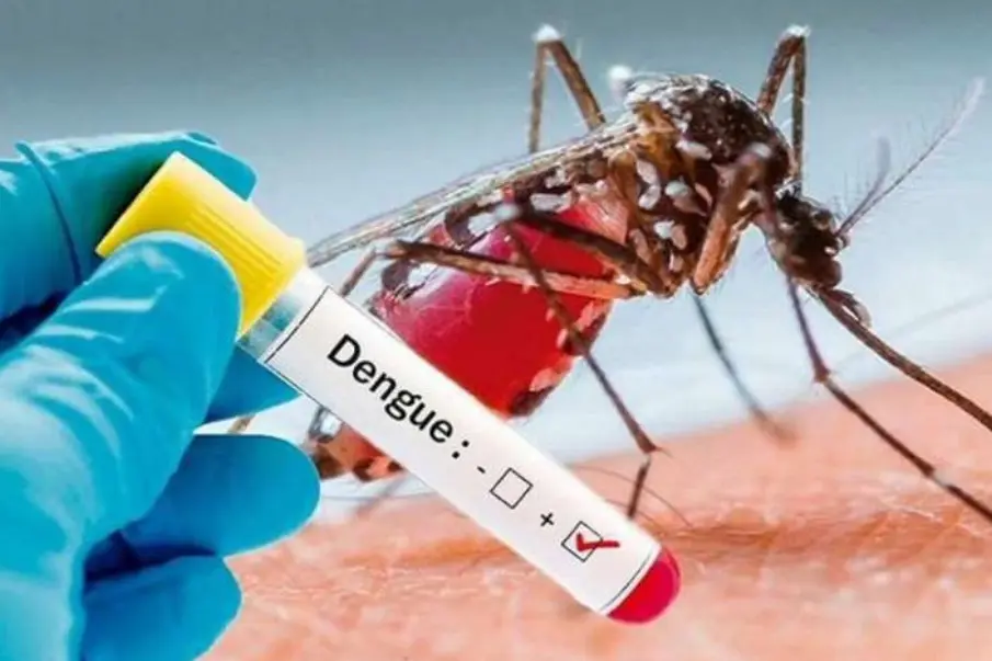 Autoridades de salud refuerzan medidas contra el dengue en Baja California Sur