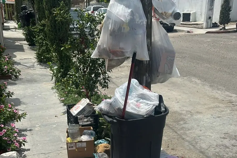 Fallas en recolección de basura generan focos de infección en Cabo San Lucas