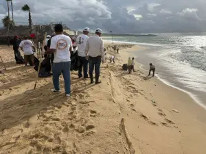 Derivado de las recientes lluvias, gran cantidad de basura fue arrastrada al mar por los arroyos, lo que motivó esta importante jornada de saneamiento.