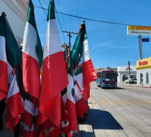 Paceños patrios