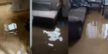 Vecinos de Rinconada de las Californias denuncian abandono tras inundaciones