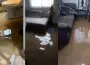 Vecinos de Rinconada de las Californias denuncian abandono tras inundaciones