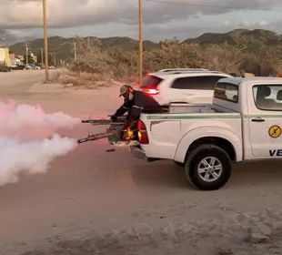 Denuncian falta de fumigación en colonias de BCS; Secretaría de Salud refuerza acciones