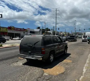 baches CSL