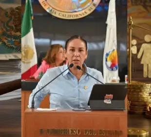 Que deudores alimentarios morosos pierdan la patria potestad de los hijos: Diputada Alondra Torres (PT)