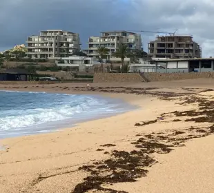 Playas cerradas en Los Cabos