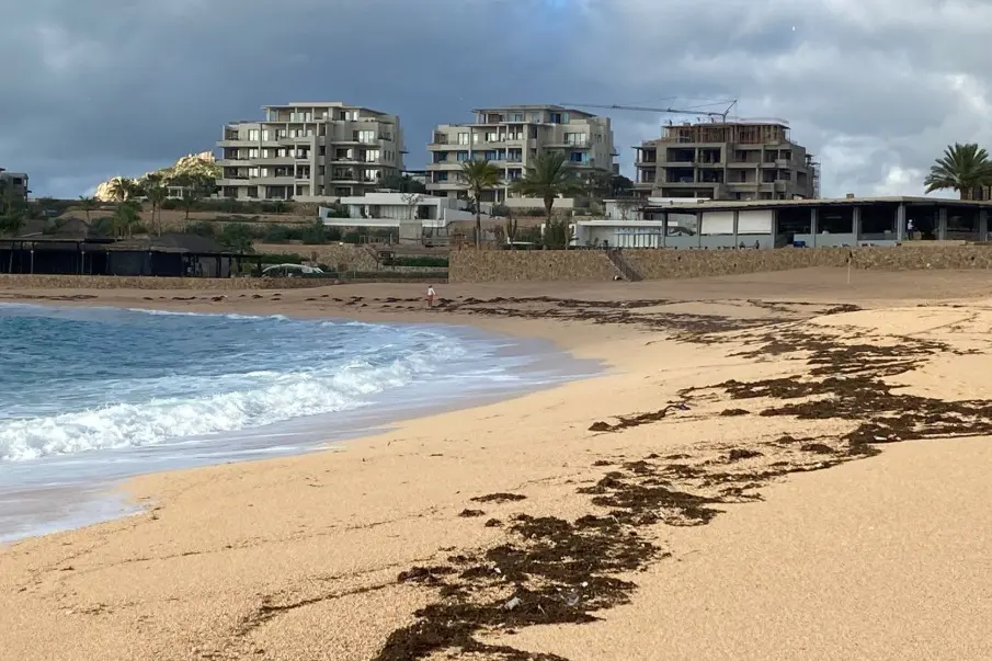 Playas cerradas en Los Cabos