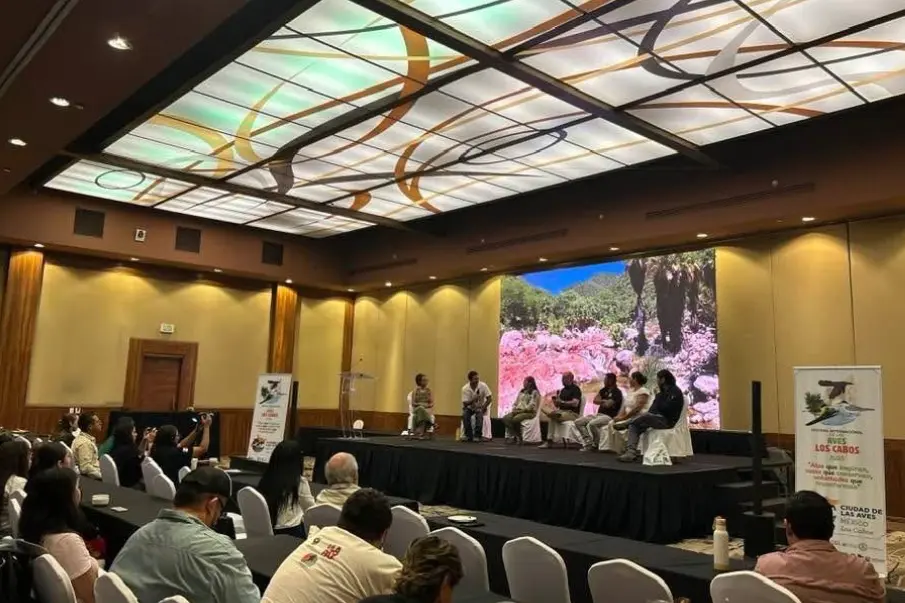 Los Cabos es certificada como destino turístico para las aves