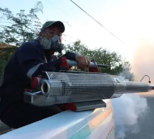 Por lluvias atípicas, disminuye el abasto de insecticidas contra el dengue en BCS: Salud