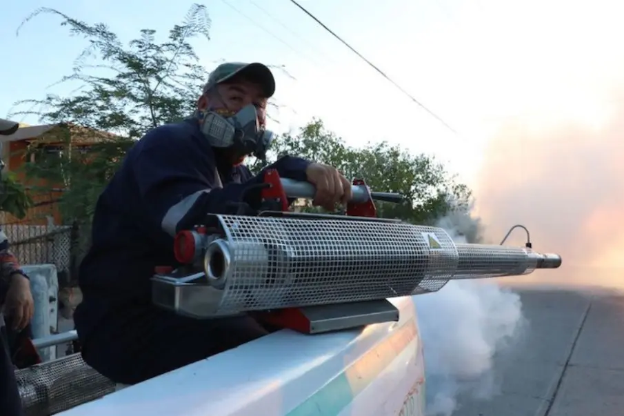 Por lluvias atípicas, disminuye el abasto de insecticidas contra el dengue en BCS: Salud
