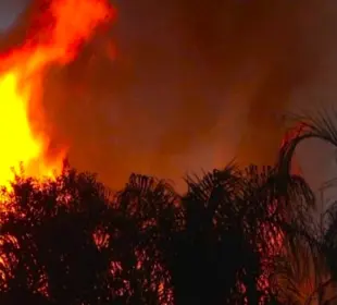 Incendios Forestales BCS