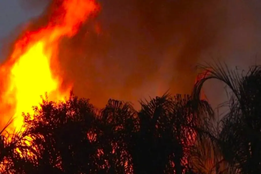 Incendios Forestales BCS