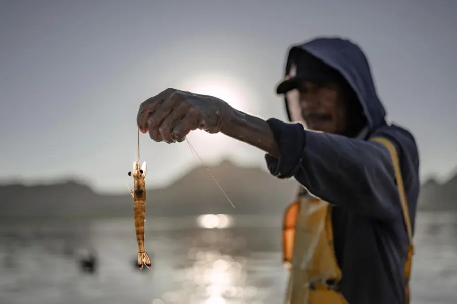 Topolobampo al borde del colapso socioambiental tras alerta internacional por planta de amoníaco