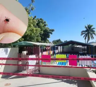 Garrapatas en Escuelas de Los Cabos