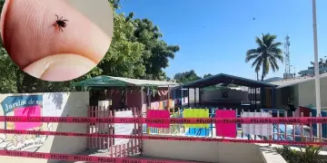 Garrapatas en Escuelas de Los Cabos